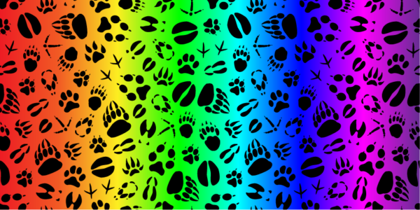 Paw Print Rainbow Background